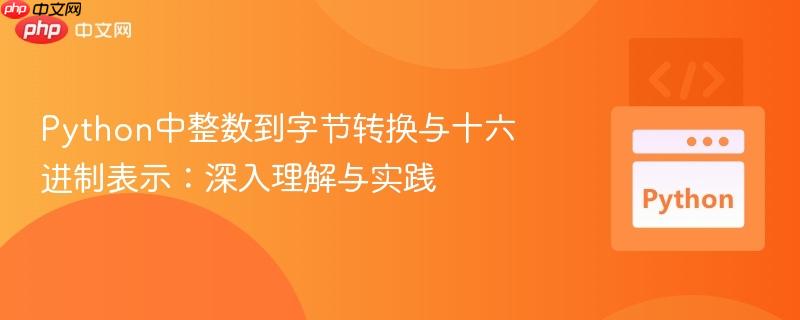 Python中整数到字节转换与十六进制表示：深入理解与实践
