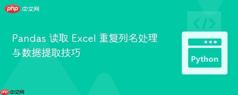 Pandas 读取 Excel 重复列名处理与数据提取技巧
