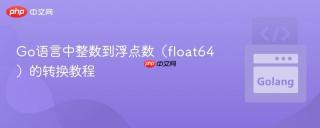 Go语言中整数到浮点数（float64）的转换教程