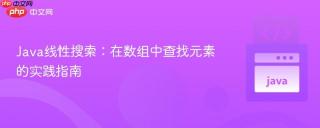 Java线性搜索：在数组中查找元素的实践指南