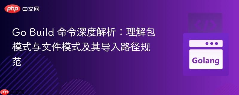 Go Build 命令深度解析：理解包模式与文件模式及其导入路径规范