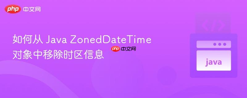 如何从 java zoneddatetime 对象中移除时区信息