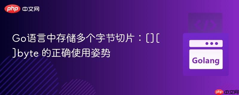 Go语言中存储多个字节切片：[][]byte 的正确使用姿势
