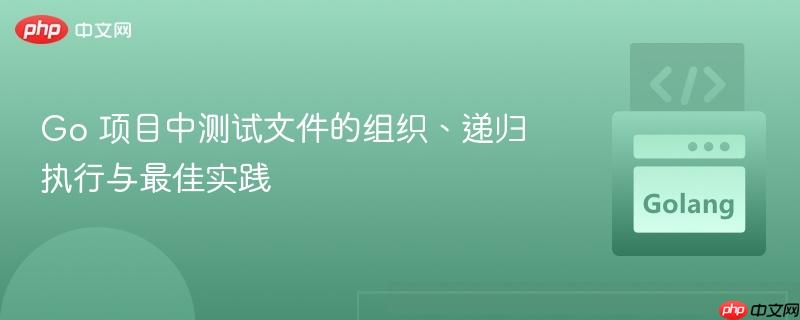 Go 项目中测试文件的组织、递归执行与最佳实践