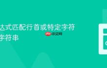 正则表达式匹配行首或特定字符集后的字符串