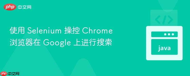 使用 selenium 操控 chrome 浏览器在 google 上进行搜索