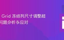 Vaadin Grid 冻结列尺寸调整超出边界问题分析与应对