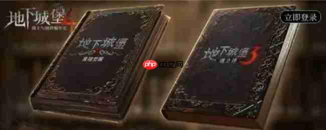 《地下城堡4：骑士与破碎编年史》新手游戏指南