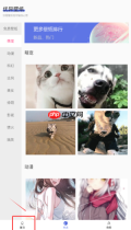 《彩虹主题壁纸》搜索壁纸方法
