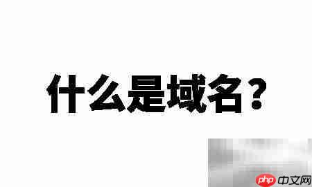 域名是什么?一文读懂