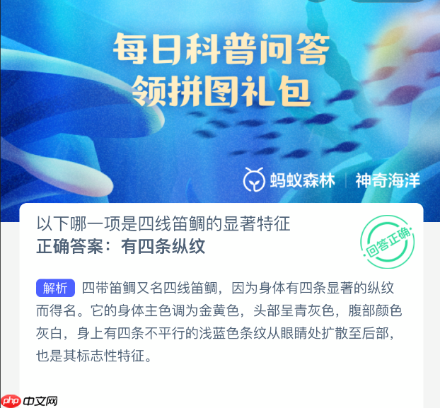 以下哪一项是四线笛鲷的显著特征