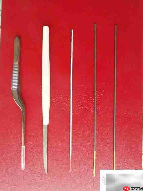 采耳好处与工具全解析