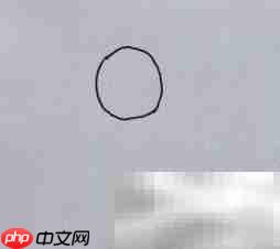 简笔画教程：轻松画沙铃