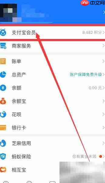 支付宝会员积分查询方法
