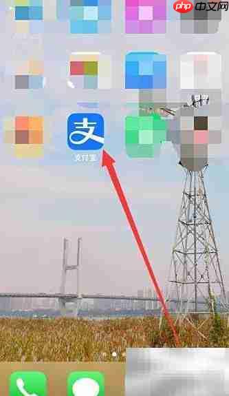 支付宝会员积分查询方法