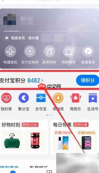 支付宝会员积分查询方法