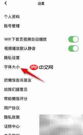懒饭字体大小修改方法