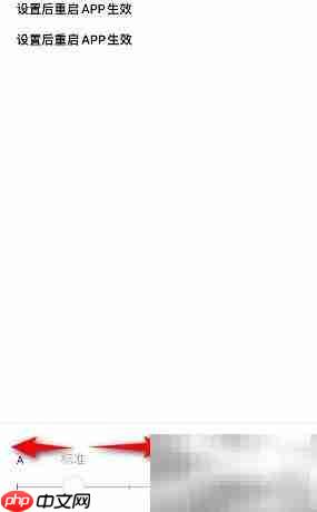 懒饭字体大小修改方法