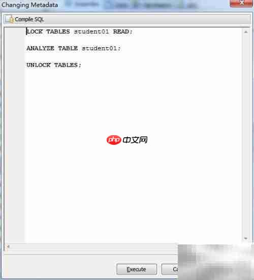 Maestro分析数据库表指南