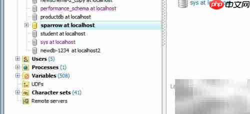 Maestro分析数据库表指南