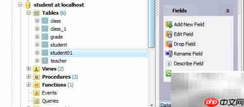 Maestro分析数据库表指南
