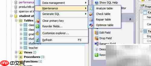 Maestro分析数据库表指南