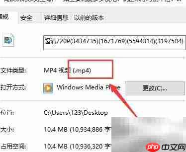 FLV转MP4方法一键转换