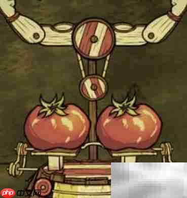 饥荒健身房使用攻略