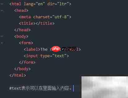 HTML中表单的使用方法