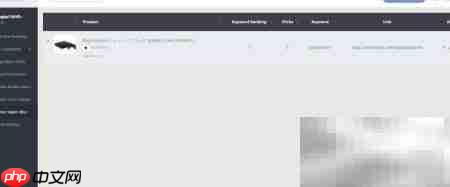 Dynamic Super URL详解