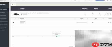 Dynamic Super URL详解
