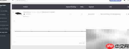 Dynamic Super URL详解
