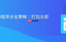 Go应用程序分发策略：打包与部署指南