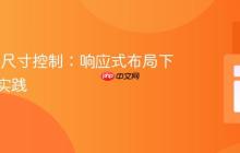 iFrame尺寸控制：响应式布局下的最佳实践