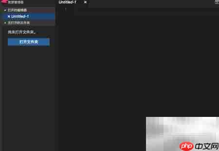 VS Code for Mac运行JS指南