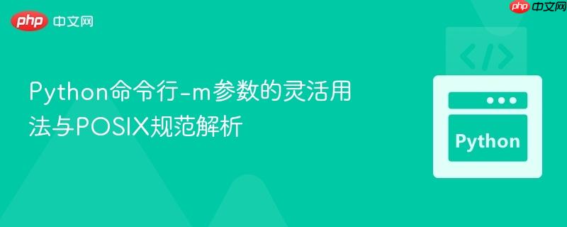Python命令行-m参数的灵活用法与POSIX规范解析