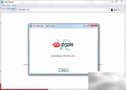 VNC Viewer连接方法指南