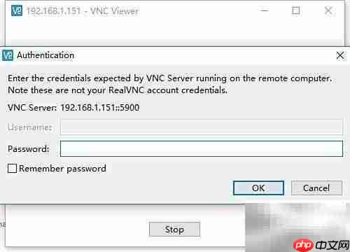 VNC Viewer连接方法指南