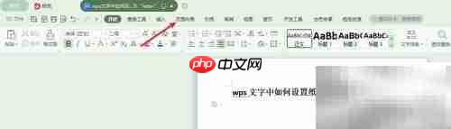 WPS文字设置Letter纸张大小