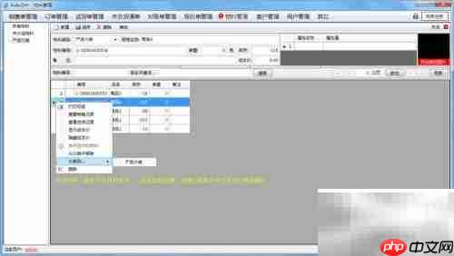 AiderDM送货单打印指南