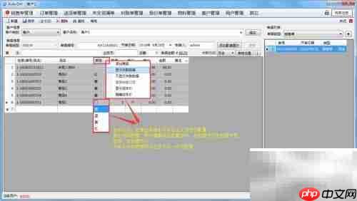 AiderDM送货单打印指南