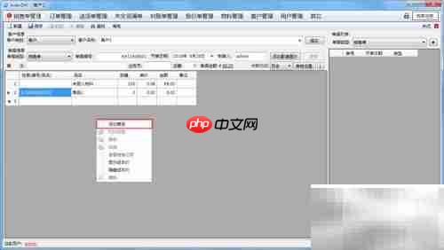 AiderDM送货单打印指南