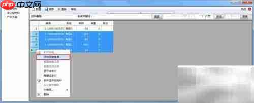 AiderDM送货单打印指南