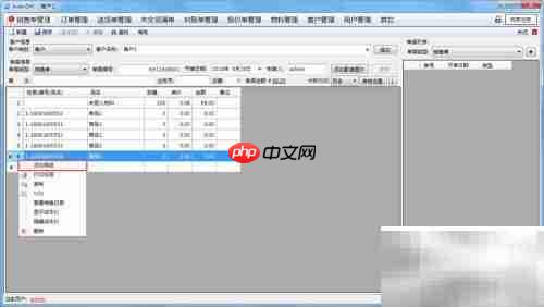 AiderDM送货单打印指南