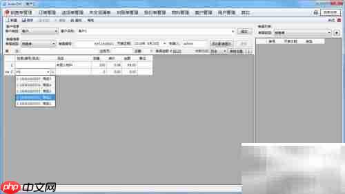 AiderDM送货单打印指南