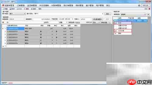 AiderDM送货单打印指南