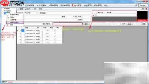 AiderDM送货单打印指南