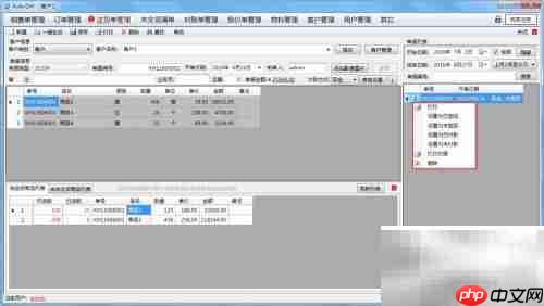 AiderDM送货单打印指南
