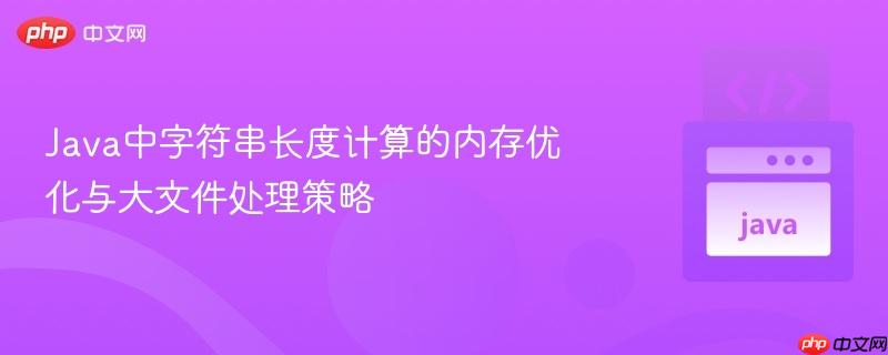 Java中字符串长度计算的内存优化与大文件处理策略