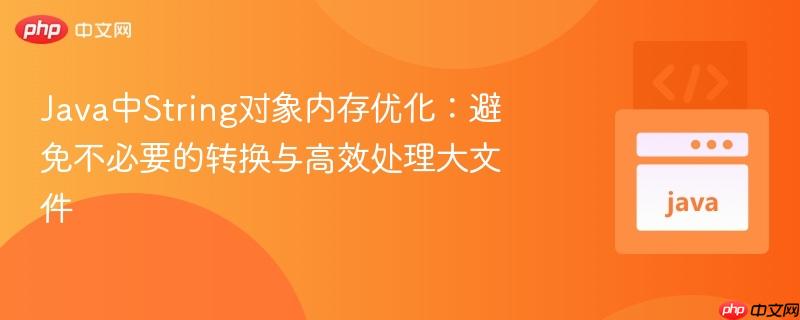 Java中String对象内存优化：避免不必要的转换与高效处理大文件